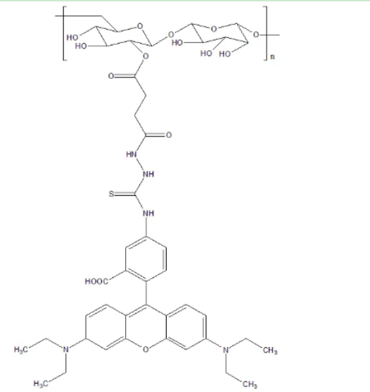 葡聚糖-四甲基羅丹明,Dextran-TRITC,近紅外染料標記多糖	