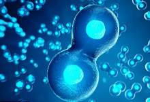 細(xì)胞培養(yǎng)（cell culture）實(shí)驗(yàn)外包