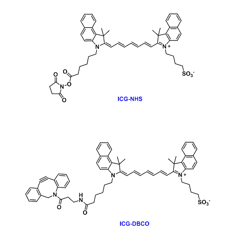 ICG-COOH、Sulfo-ICG-COOH、ICG-NHS