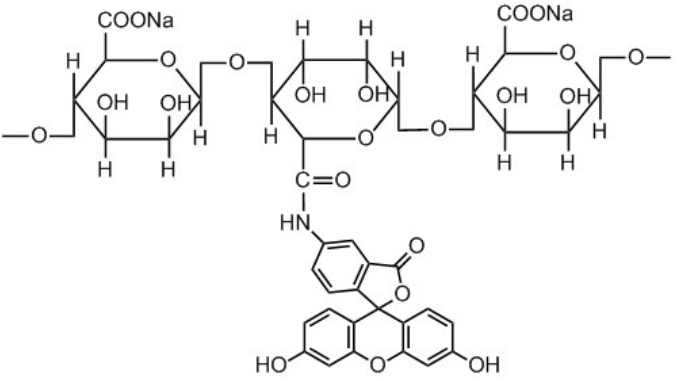 綠色熒光素標(biāo)記海藻酸鈉