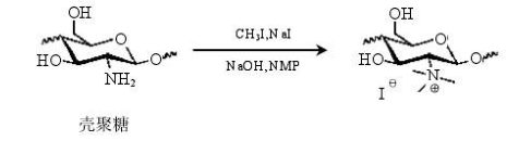 七甲川染料CY7標(biāo)記殼聚糖 Chitosan-Cyanine7