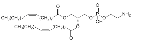 galactose-DOPE galactose-DOPE