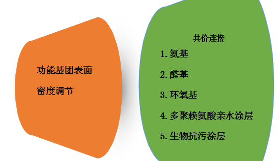 多聚賴氨酸，氨基，醛基修飾的載玻片