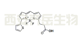cas:  150173-72-1，BDP 558/568 carboxylic acid
