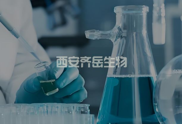 DSPE-PEG-HHC36，DSPE-PEG-KRWWKWWRR，磷脂-聚乙二醇-陽(yáng)離子抗菌肽