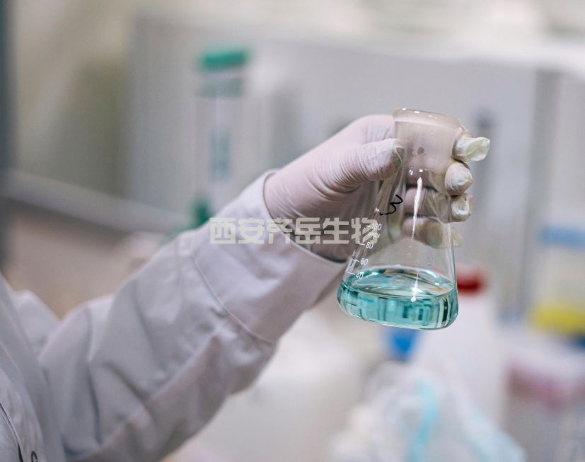 生物素化小分子定制技術