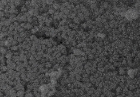 Gold Nanorods，長徑比為5（濃度0.5mg/ml）